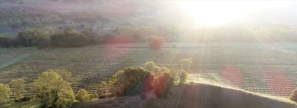 wedding morning sunrise at Jaxon Keys winery in Hopland