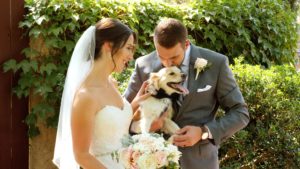 Wedding couple with dog