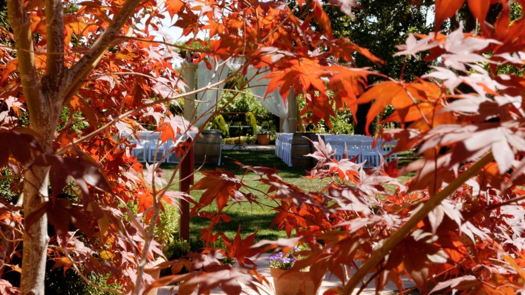 Fall Wedding Ceremony Arbor